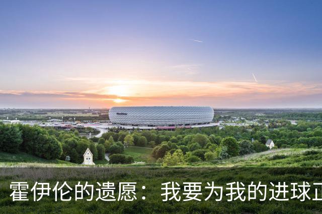 霍伊伦的遗愿：我要为我的进球正名！